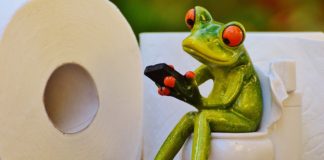 frog on toilet