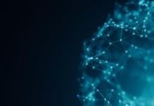 What Can You Do with a Degree in Management Information Systems?